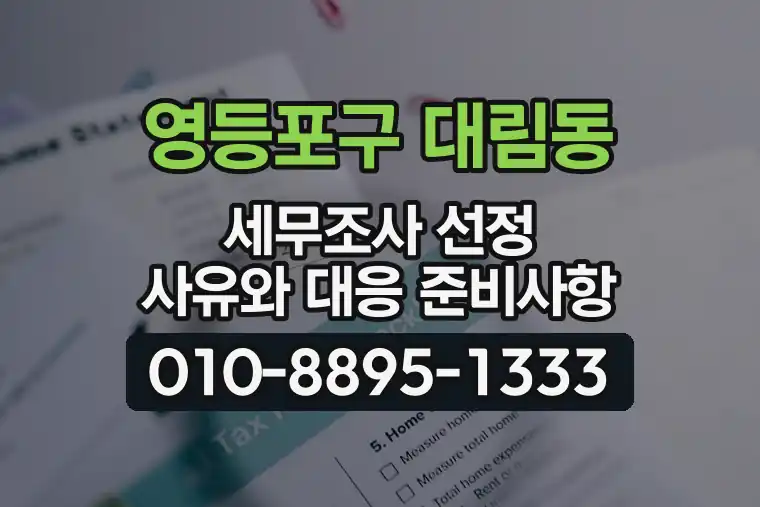 서울 영등포구 대림동 세무조사 선정 사유와 대응 준비사항