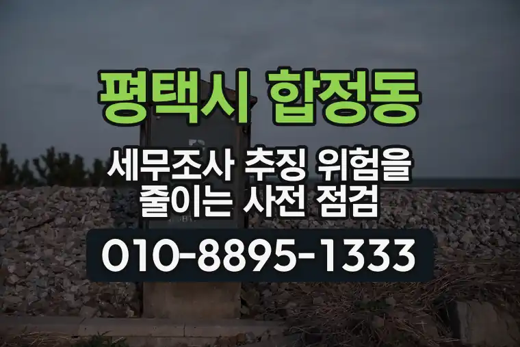 경기 평택시 합정동 세무조사 추징 위험을 줄이는 사전 점검