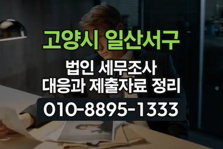 경기 고양시 일산서구 탄현동 법인 세무조사 대응과 제출자료 정리