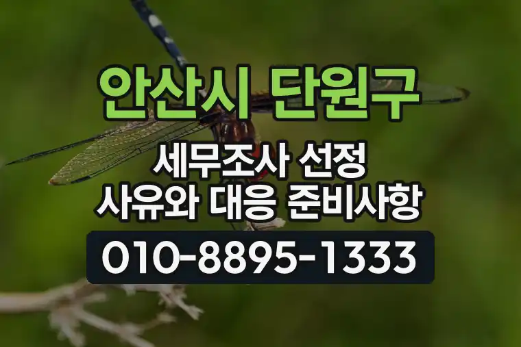 경기 안산시 단원구 대부동 세무조사 선정 사유와 대응 준비사항