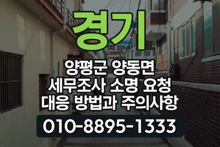 경기 양평군 양동면 세무조사 소명 요청 대응 방법과 주의사항