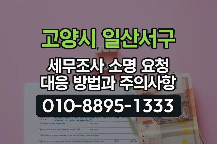 경기 고양시 일산서구 대화동 세무조사 소명 요청 대응 방법과 주의사항