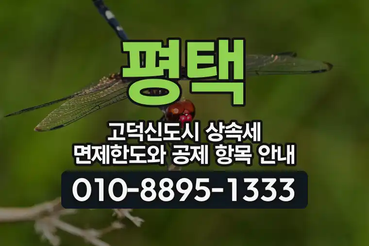 경기 평택 고덕신도시 상속세 면제한도와 공제 항목 안내