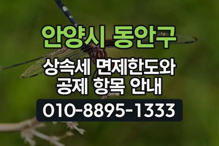 경기 안양시 동안구 신촌동 상속세 면제한도와 공제 항목 안내
