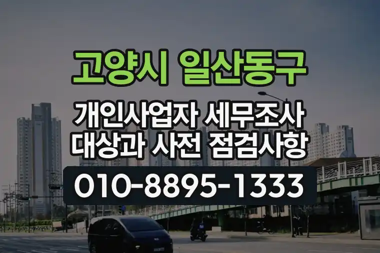 경기 고양시 일산동구 백석동 개인사업자 세무조사 대상과 사전 점검사항
