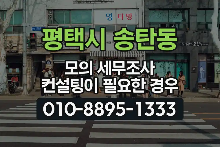 경기 평택시 송탄동 모의 세무조사 컨설팅이 필요한 경우