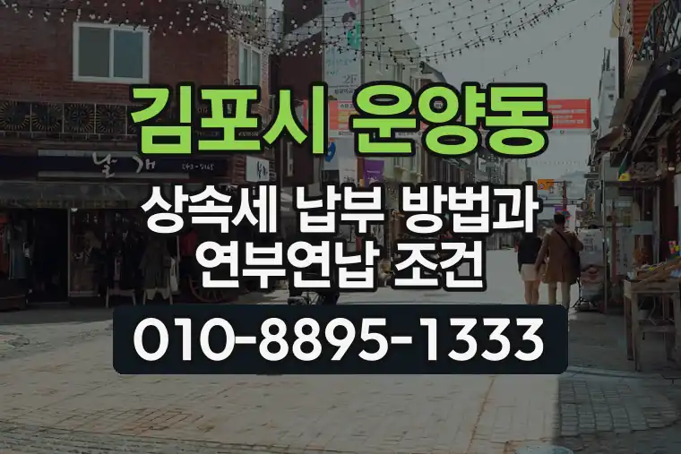 경기 김포시 운양동 상속세 납부 방법과 연부연납 조건