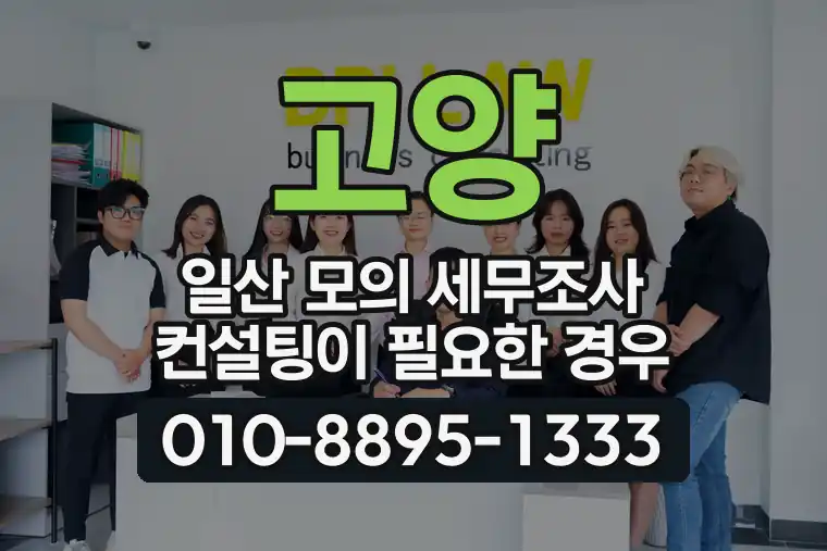 경기 고양 일산 모의 세무조사 컨설팅이 필요한 경우
