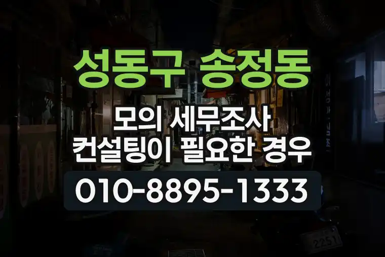 서울 성동구 송정동 모의 세무조사 컨설팅이 필요한 경우
