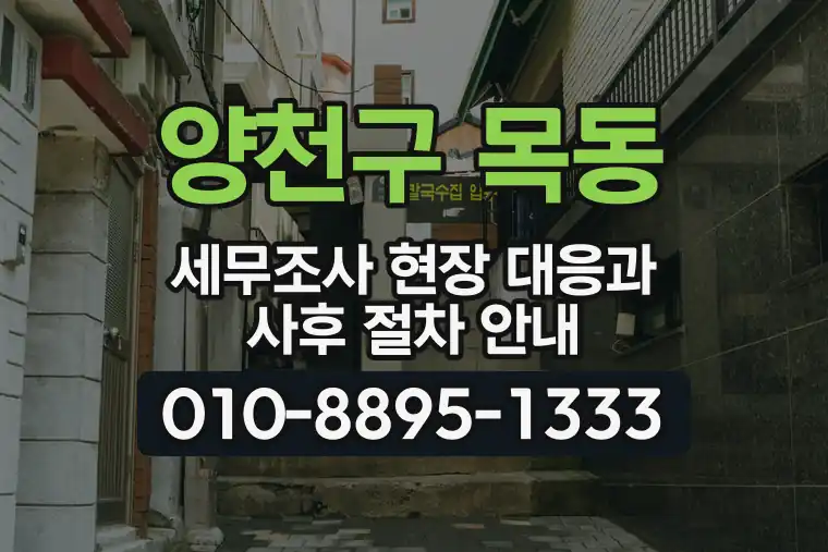 서울 양천구 목동 세무조사 현장 대응과 사후 절차 안내