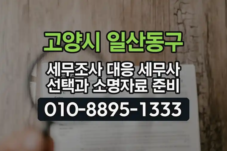 경기 고양시 일산동구 정발산동 세무조사 대응 세무사 선택과 소명자료 준비