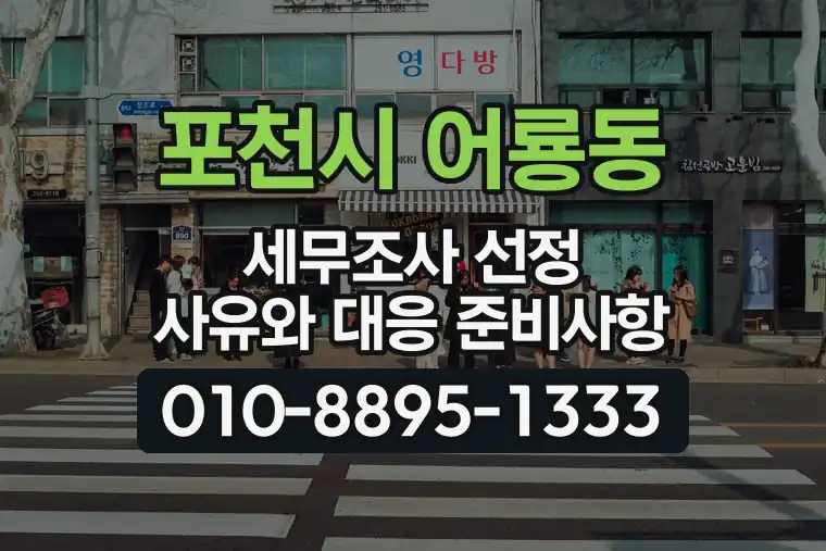 경기 포천시 어룡동 세무조사 선정 사유와 대응 준비사항