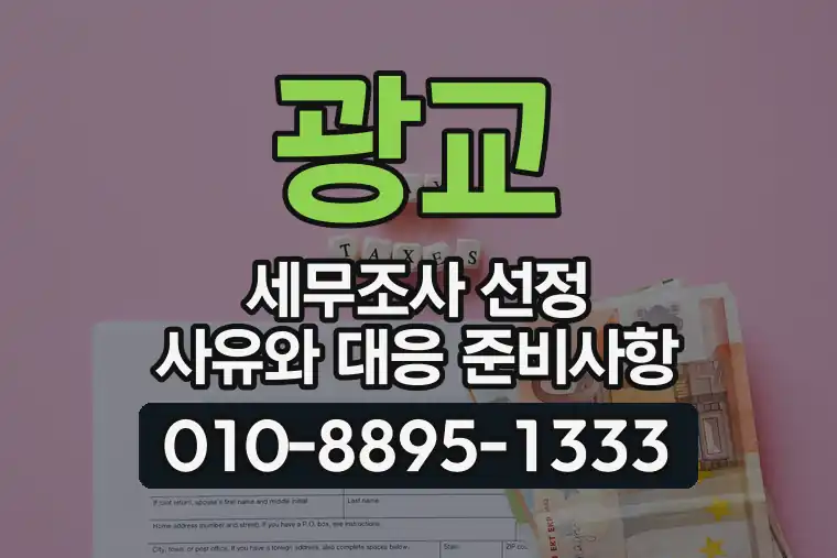 광교 세무조사 선정 사유와 대응 준비사항