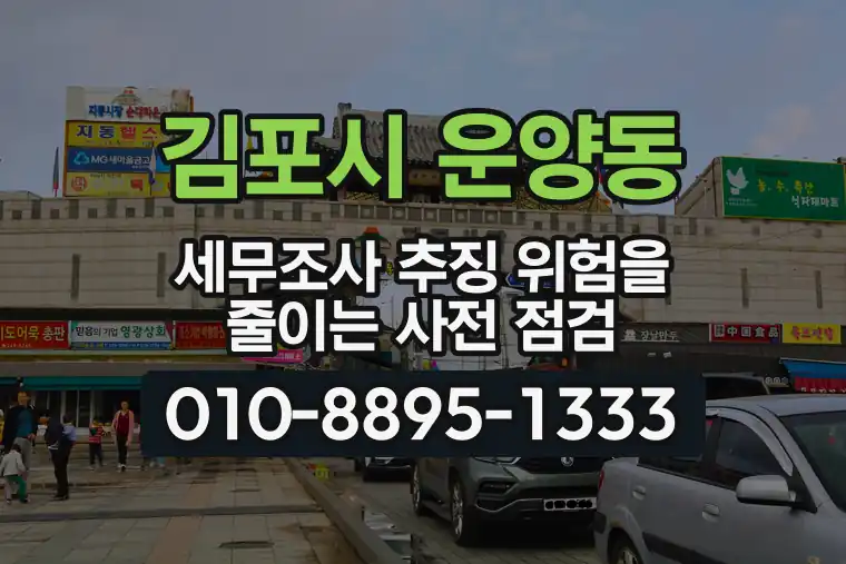 경기 김포시 운양동 세무조사 추징 위험을 줄이는 사전 점검