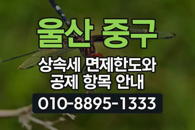 울산 중구 상속세 면제한도와 공제 항목 안내