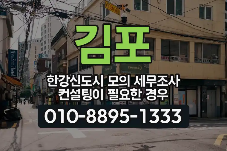경기 김포 한강신도시 모의 세무조사 컨설팅이 필요한 경우